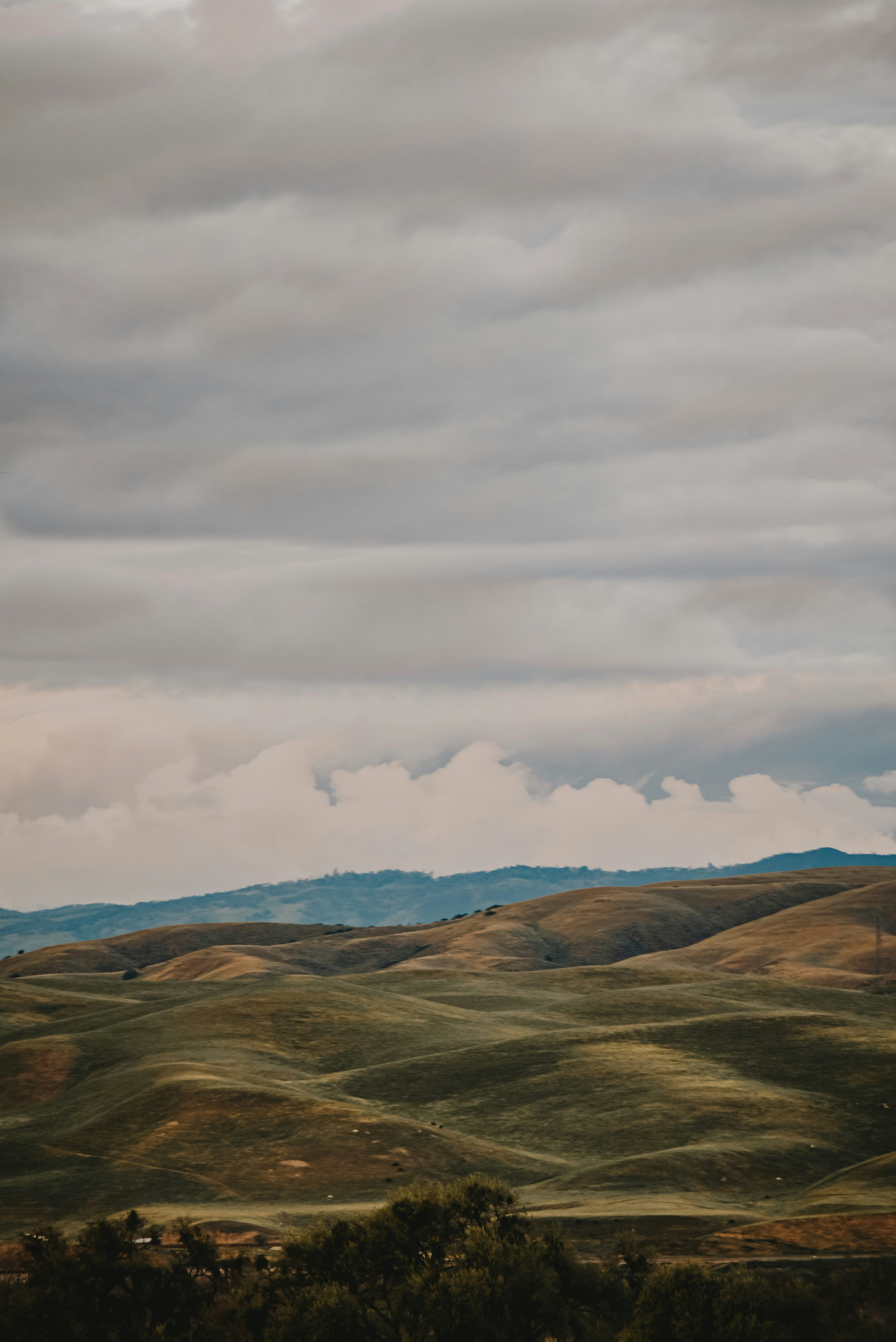 Photo by framesforyourheart