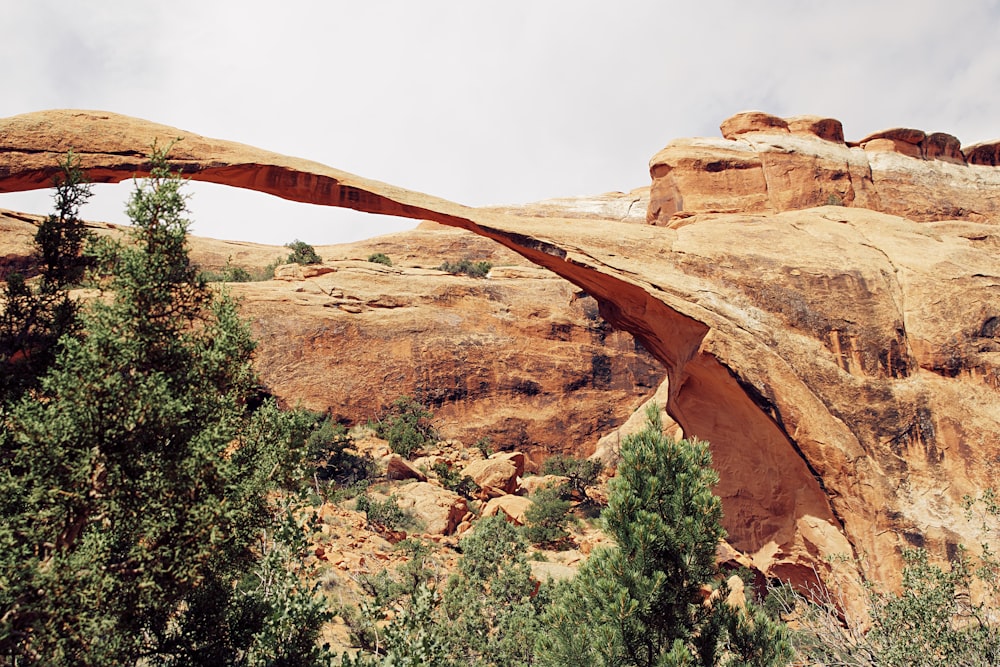 brown rock formation near green trees during daytime