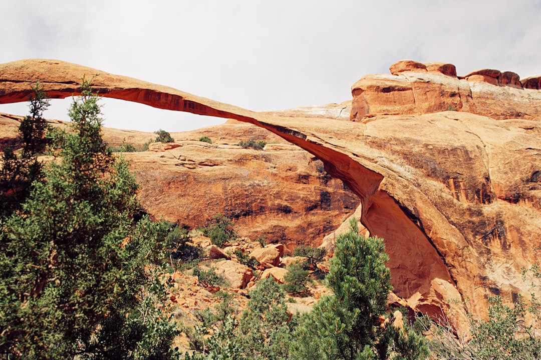 brown rock formation near green trees during daytime