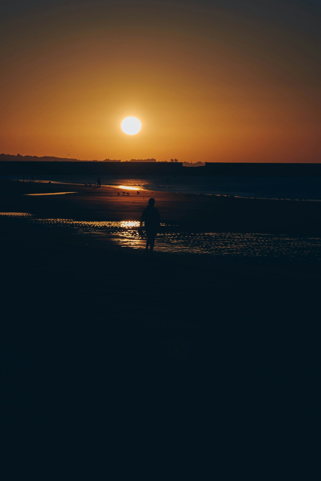 silhouette of person standing on beach during sunset