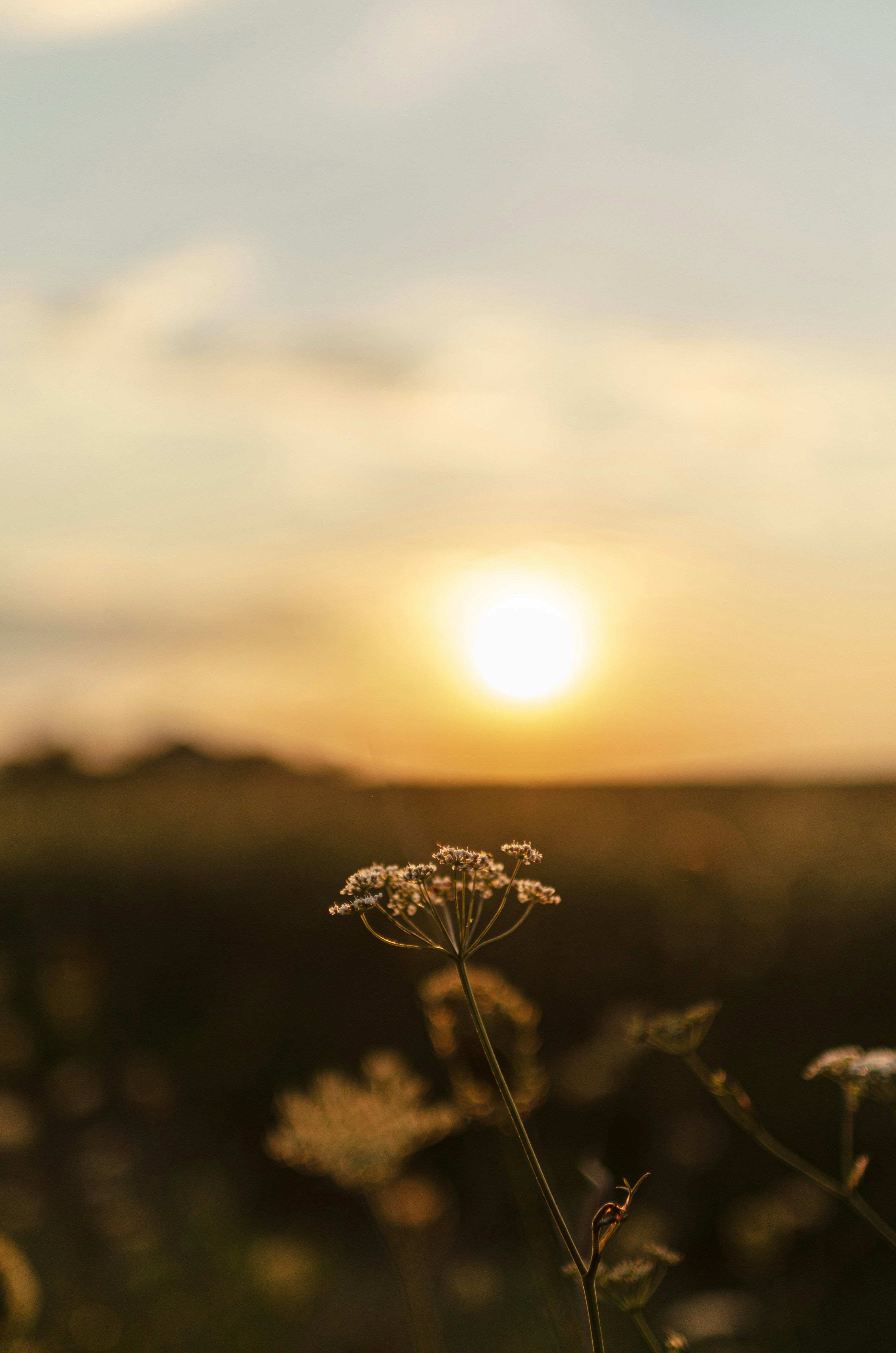 Photo by gamanalice3012