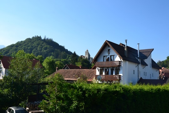 white and brown house surrounded by green trees under blue sky during daytime in Bran Romania