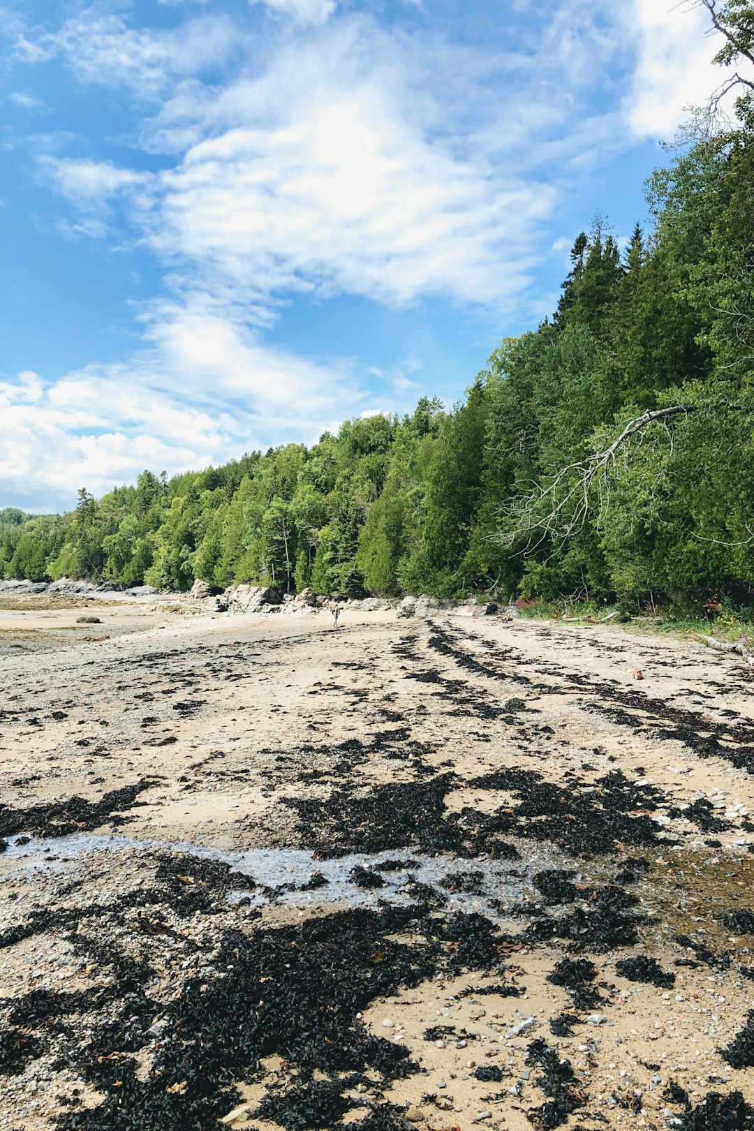 Nature reserve photo spot Charlevoix Grands-Jardins National Park