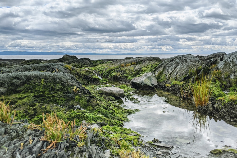 green and gray rock formation beside body of water under white clouds during daytime