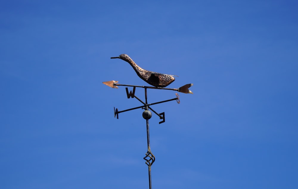 uccello in bianco e nero su lampione stradale in metallo nero sotto il cielo blu durante il giorno
