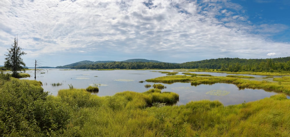 green grass field near lake under white clouds during daytime