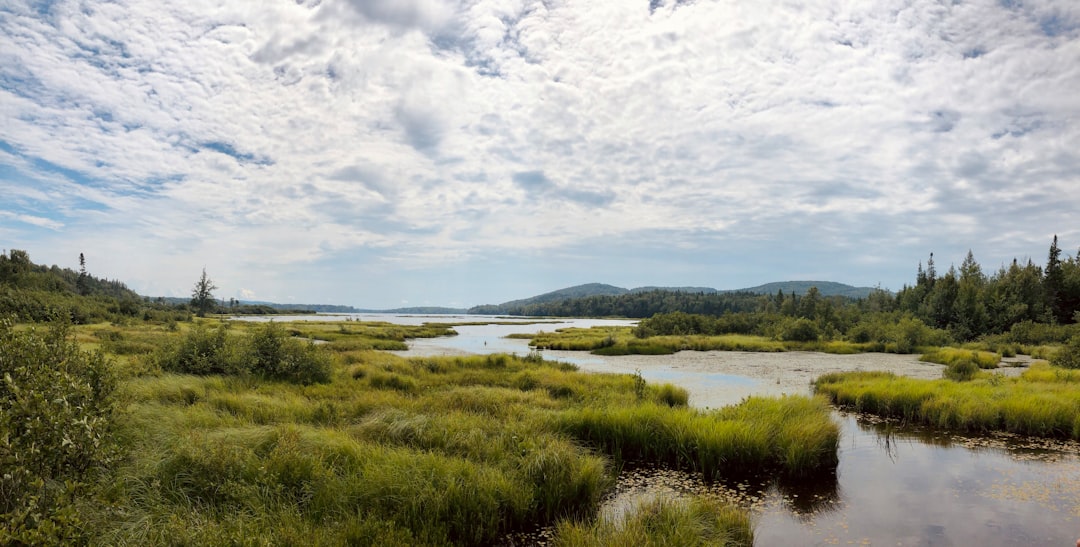 Nature reserve photo spot Marais du Nord L'Isle-aux-Coudres