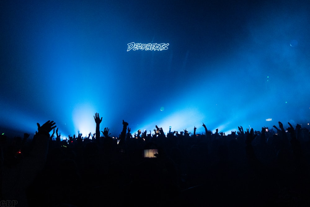 silhouette of people standing on field during night time