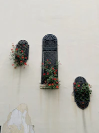 A set of outdoor windows with newly painted frames in a rich charcoal color, surrounded by greenery.