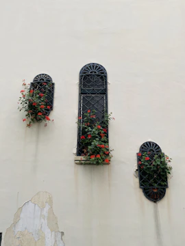 A set of outdoor windows with newly painted frames in a rich charcoal color, surrounded by greenery.