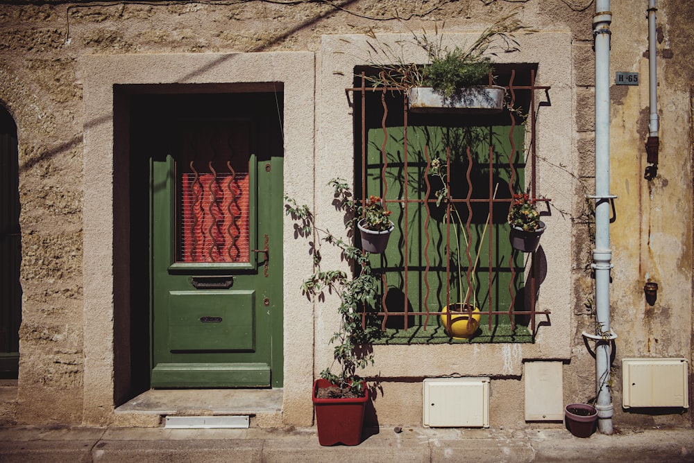 green wooden door with green plant