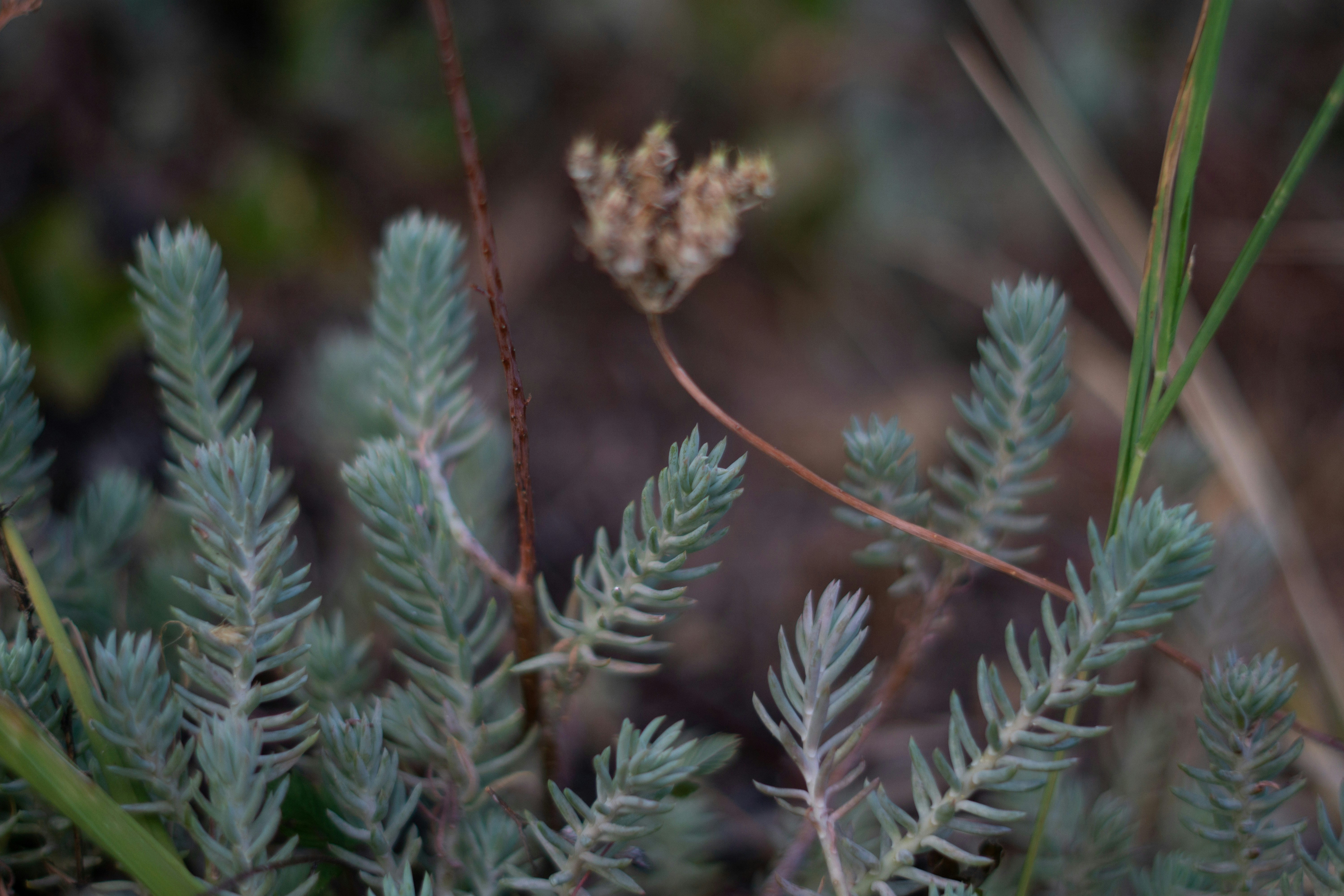 Photo by fanjatastisch