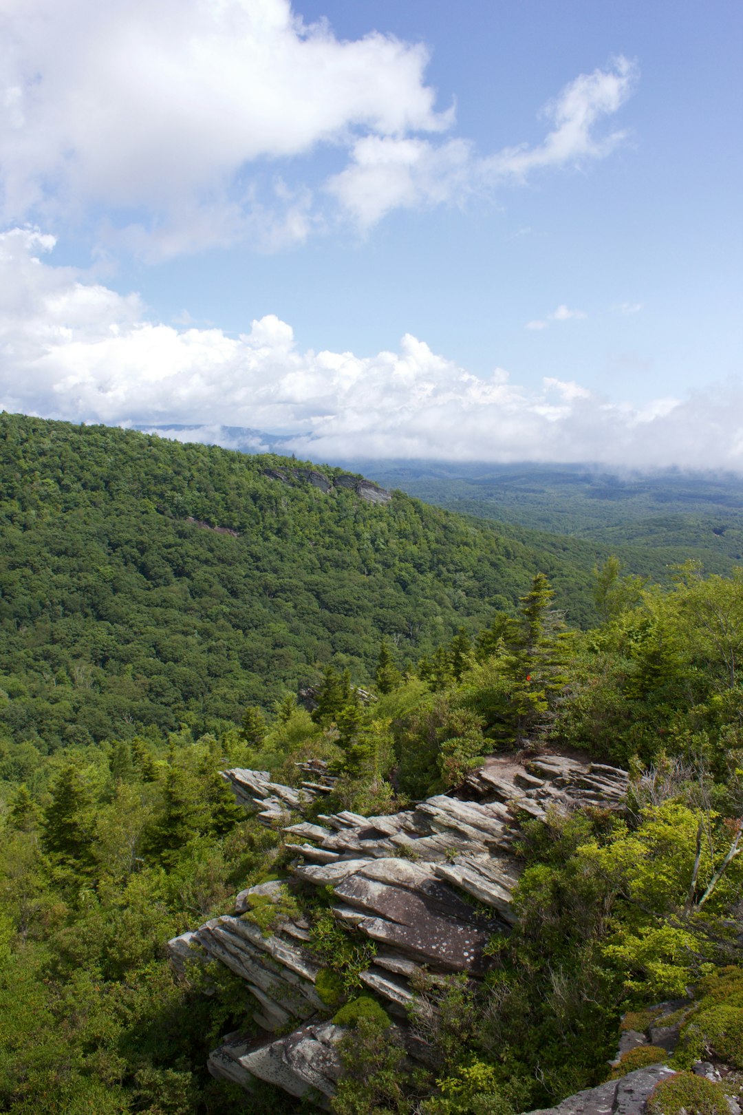 Nature reserve photo spot Blue Ridge Mountains Cataloochee