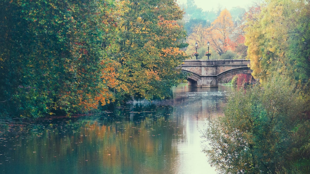 gray concrete bridge over river