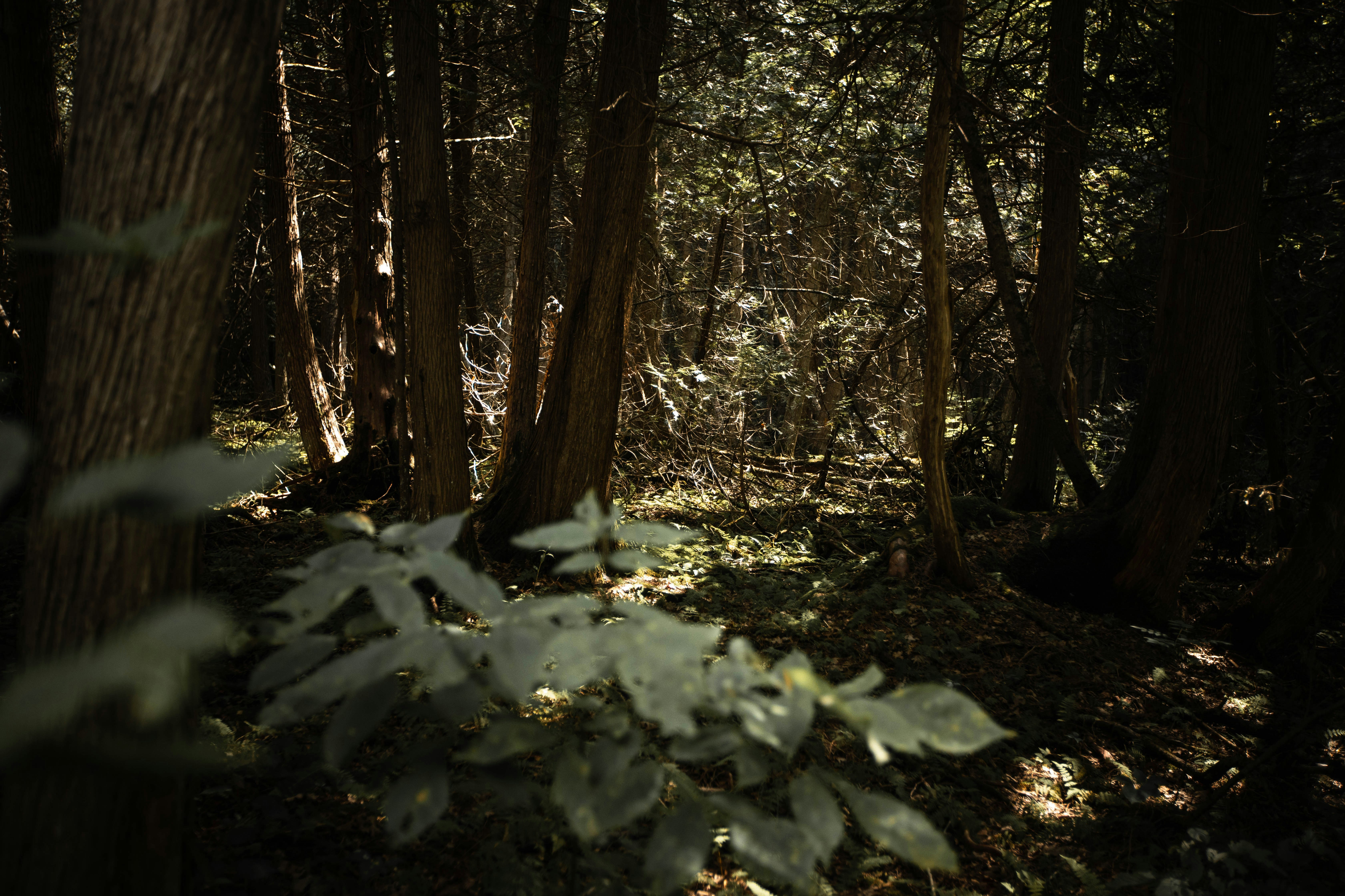 Photo by bradydrogers