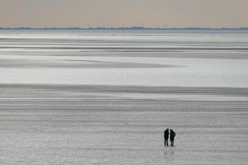 Walking together on snowy shore