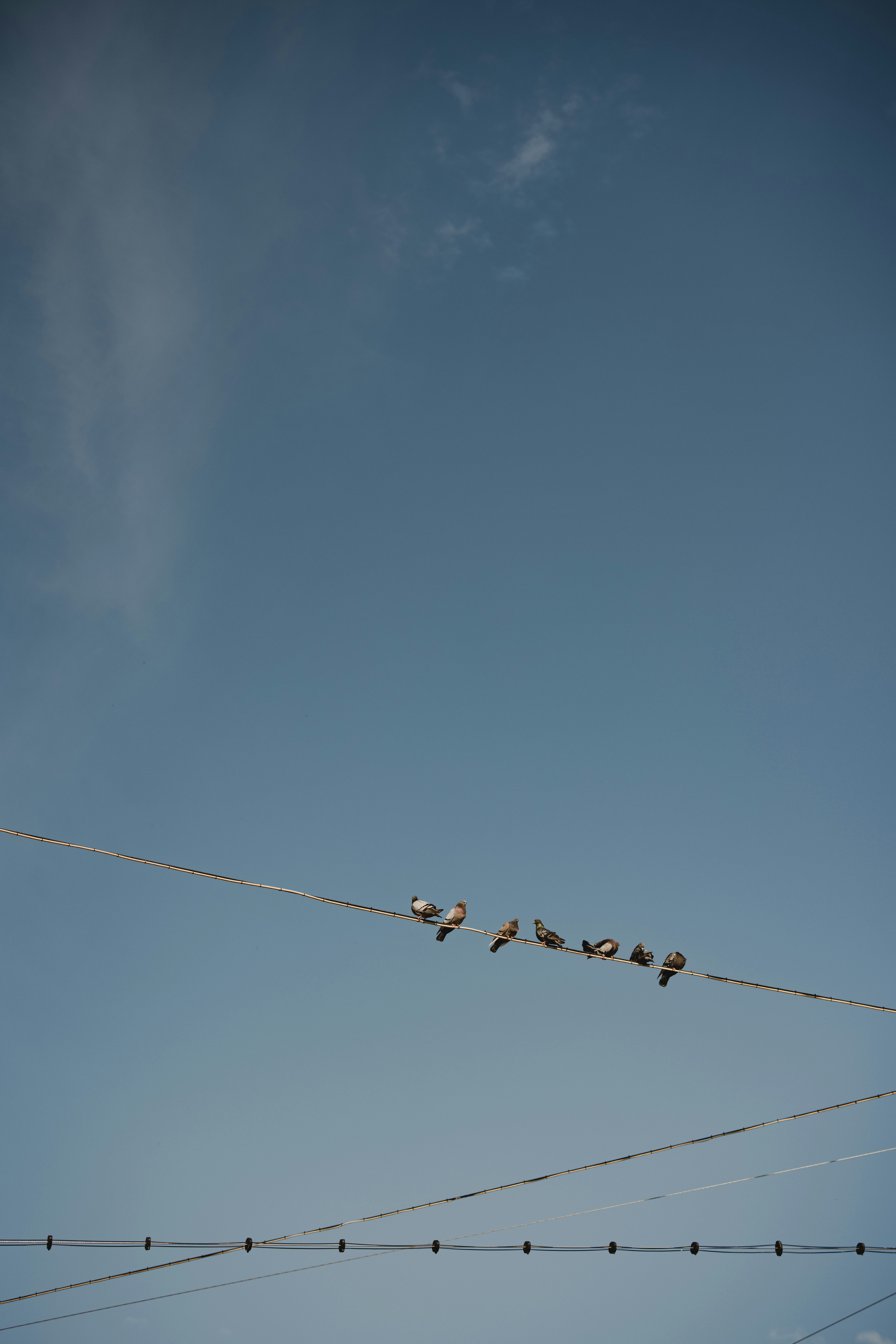 Photo by patresinger