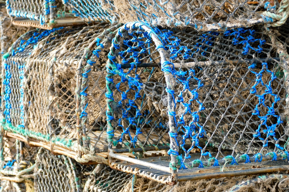 blue and white net on brown dried grass