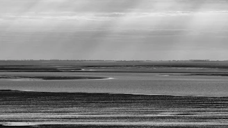 A serene Patagonian steppe landscape under a soft, overcast sky with muted colors.