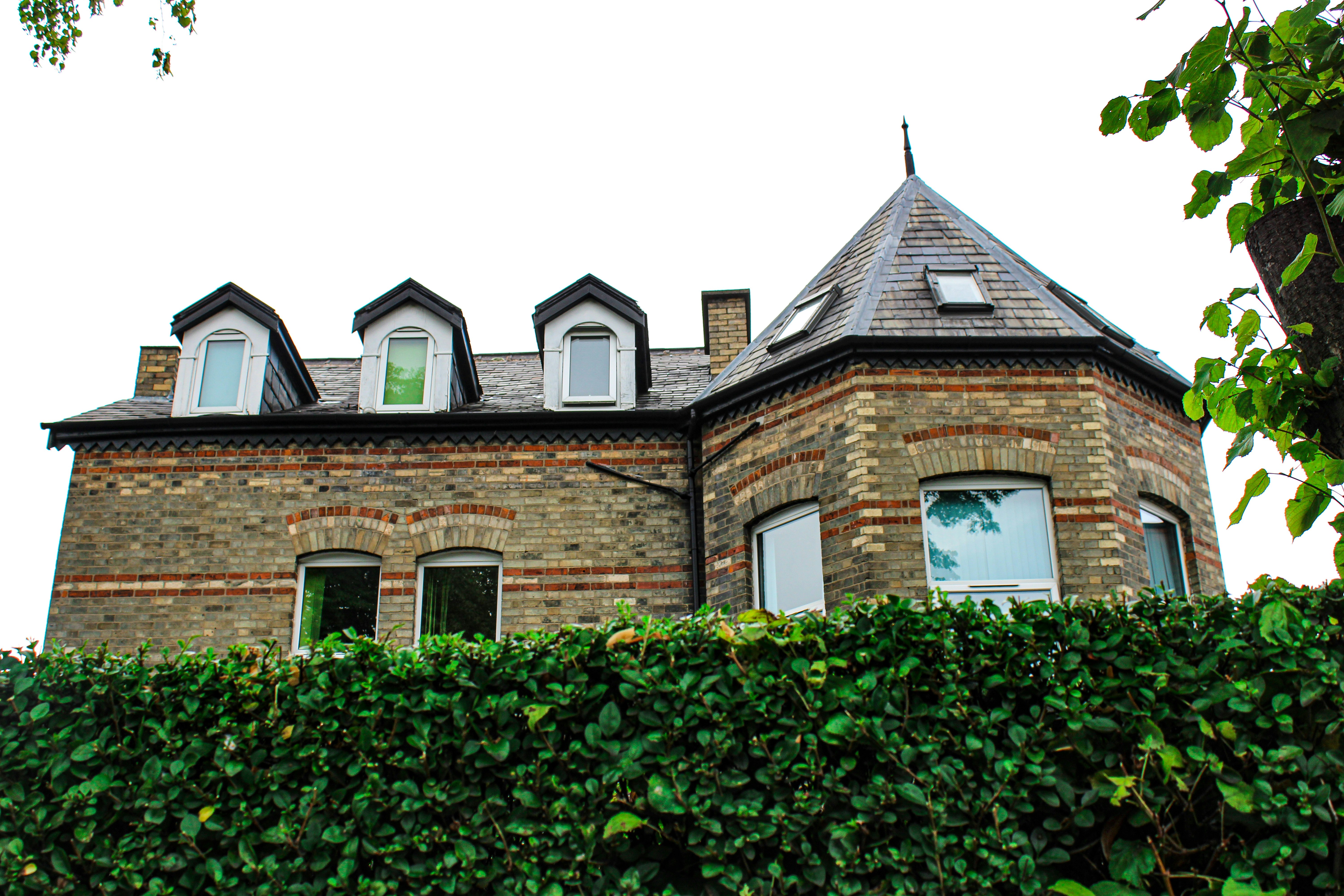 Photo by ebunoluwole