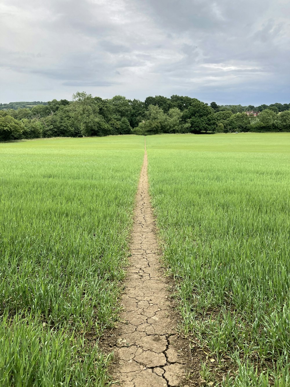 brown dirt pathway between green grass field during daytime