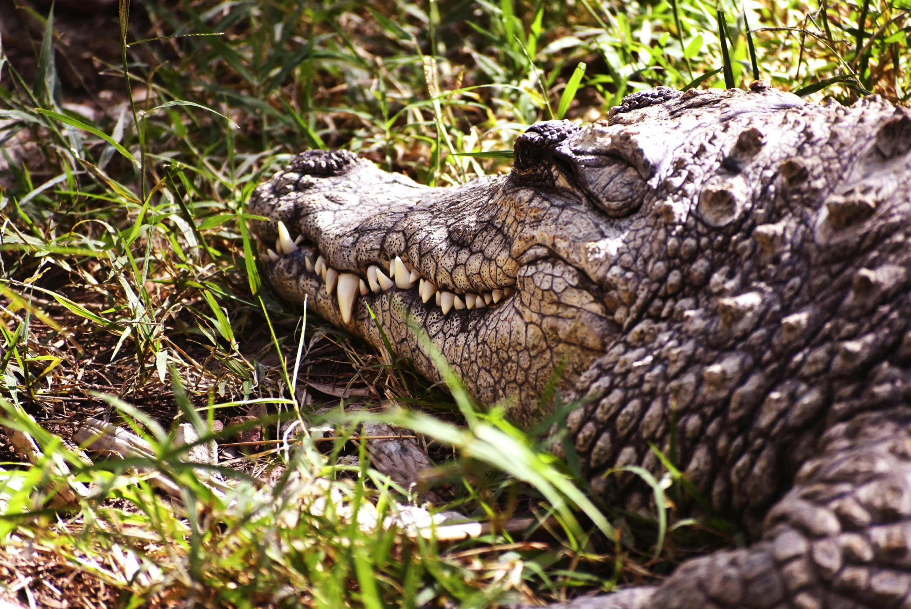 얼굴에 숨겨진 운명의 지도: 당신의 관상, 미래를 말해주는 나침반