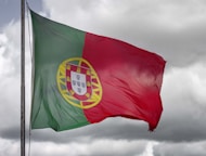 red green and yellow flag