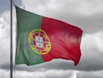 red green and yellow flag