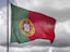 red green and yellow flag