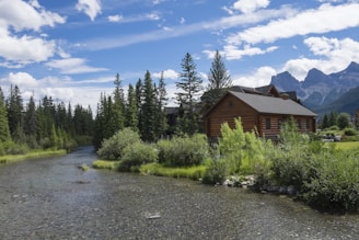 brown wooden house near green trees under blue sky during daytime