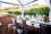 A beautifully set dining table outdoors, surrounded by lush vineyards. The table is adorned with elegant wine glasses, plates, silverware, and vibrant floral arrangements. The chairs are metallic, and there's an overhead canopy with white fabric curtains framing the scene.