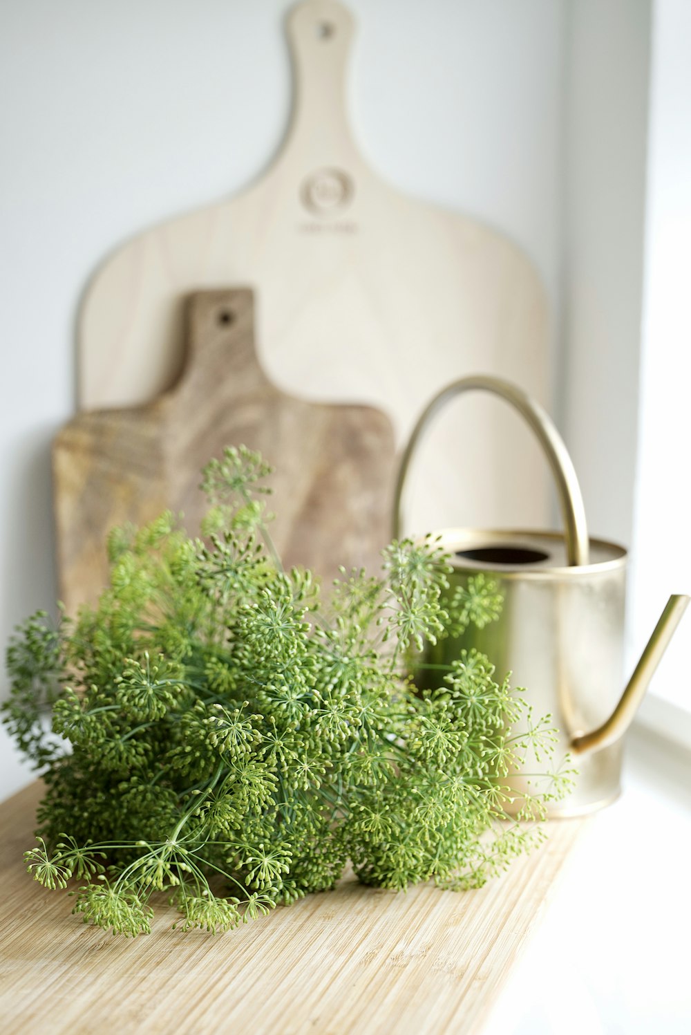 green plant on white ceramic mug