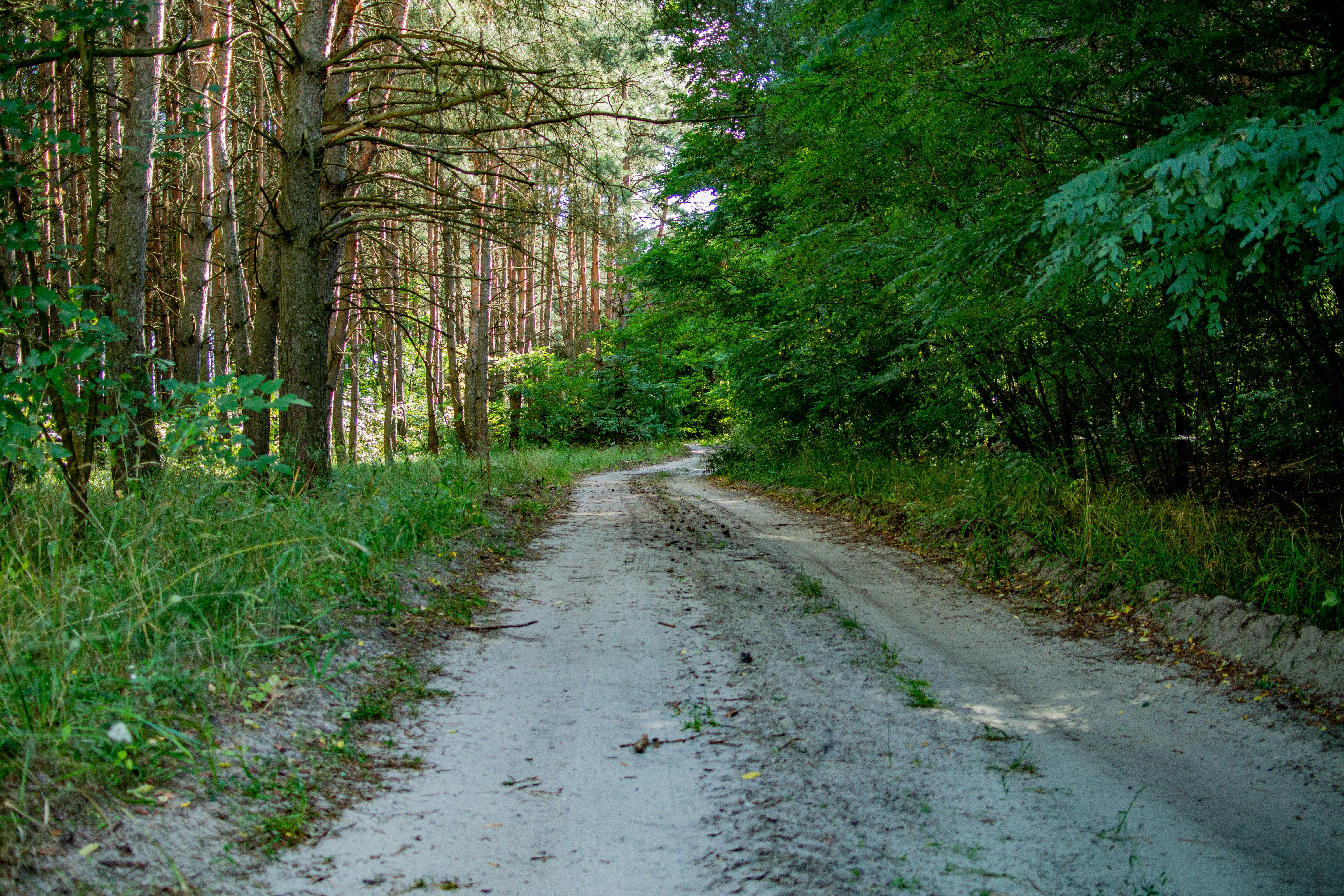 Photo by olelsandrkomisarenko