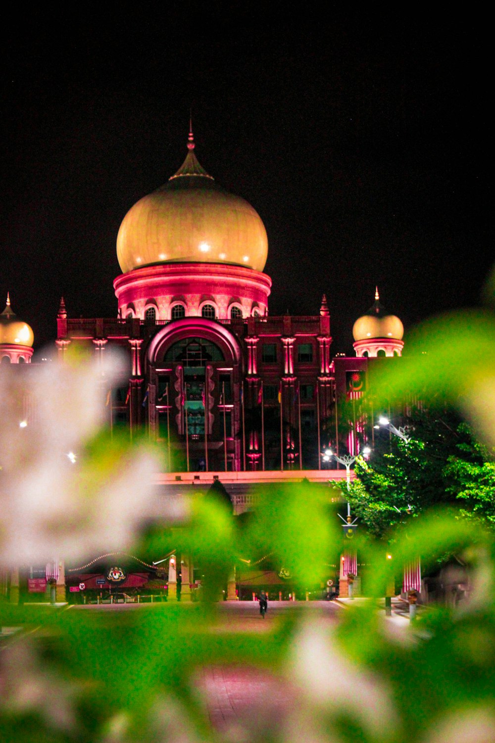 brown and white dome building with green trees and green grass field during night time