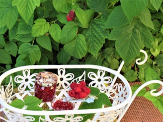 A beautifully wrapped box filled with various snap berry jams, perfect for gifting.