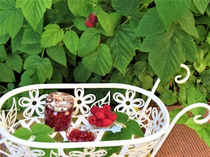 A decorative white metal tray with intricate floral designs contains a jar of raspberry jam, fresh raspberries, and a small bowl of jam. The background is filled with lush green raspberry leaves, and a few ripe raspberries are visible hanging from the plant.