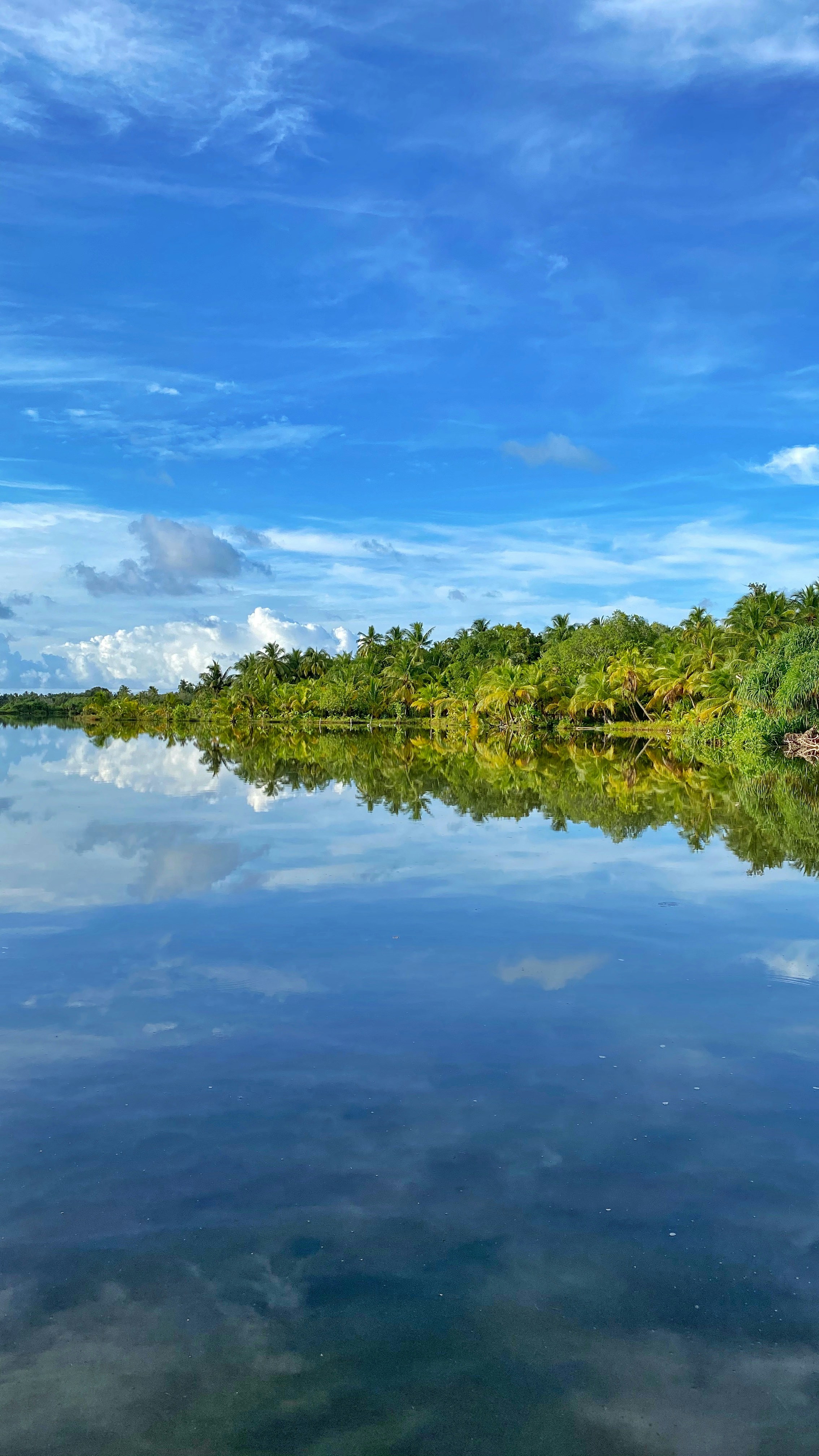 Photo by jenzyben2020