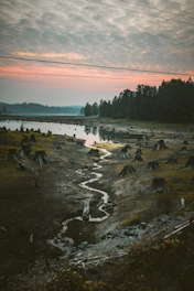 body of water near trees during daytime