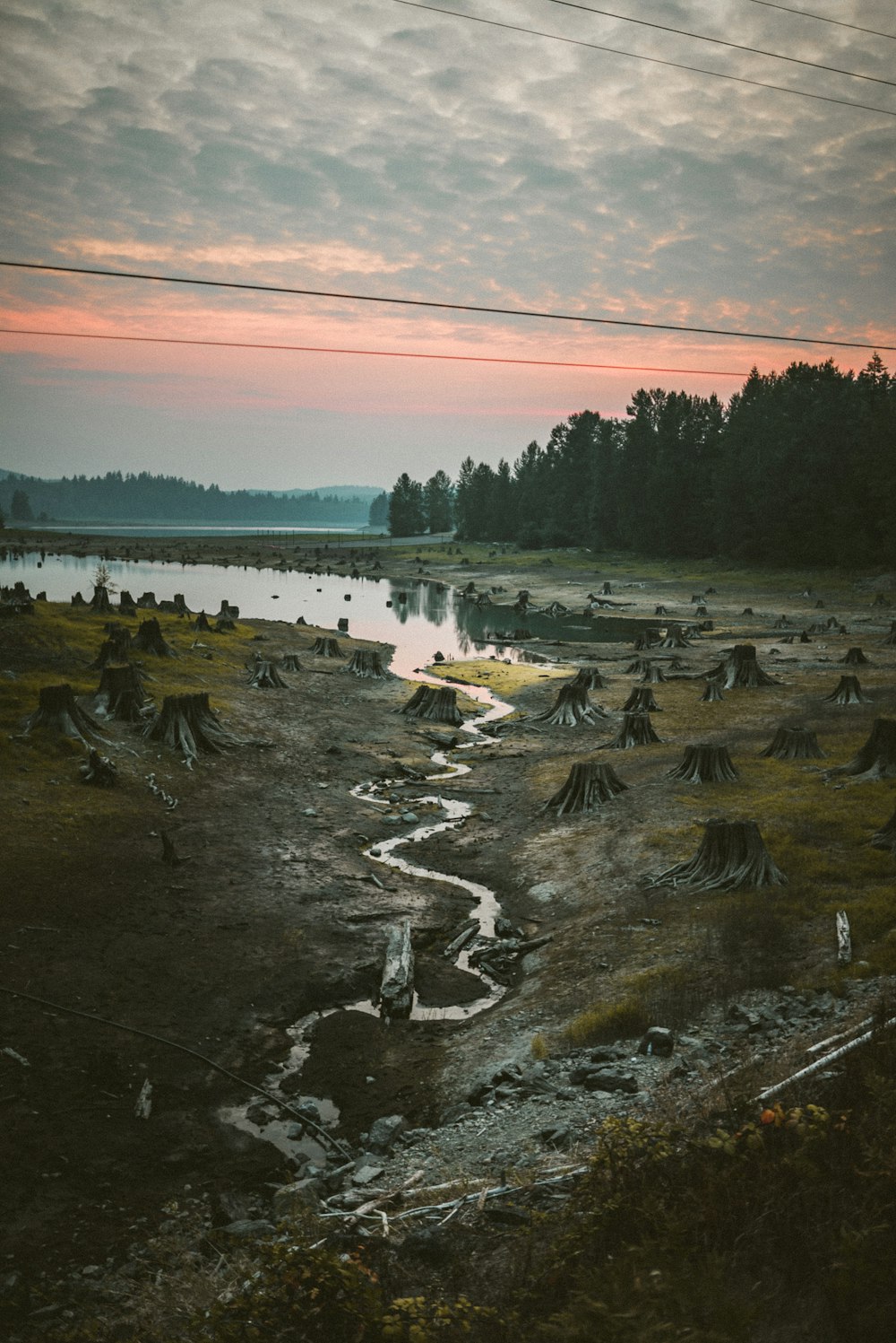 body of water near trees during daytime