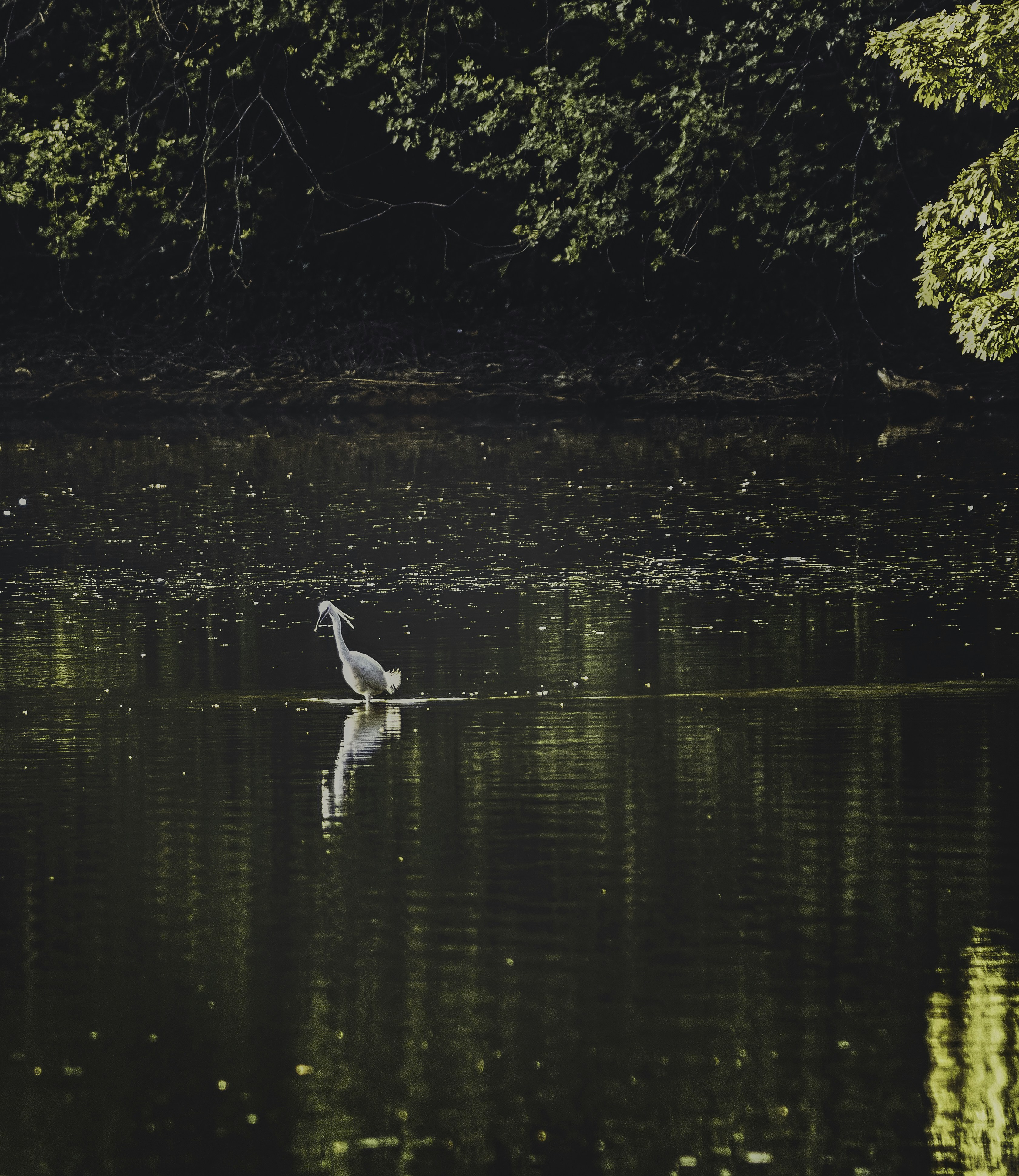 Photo by kmitchhodge