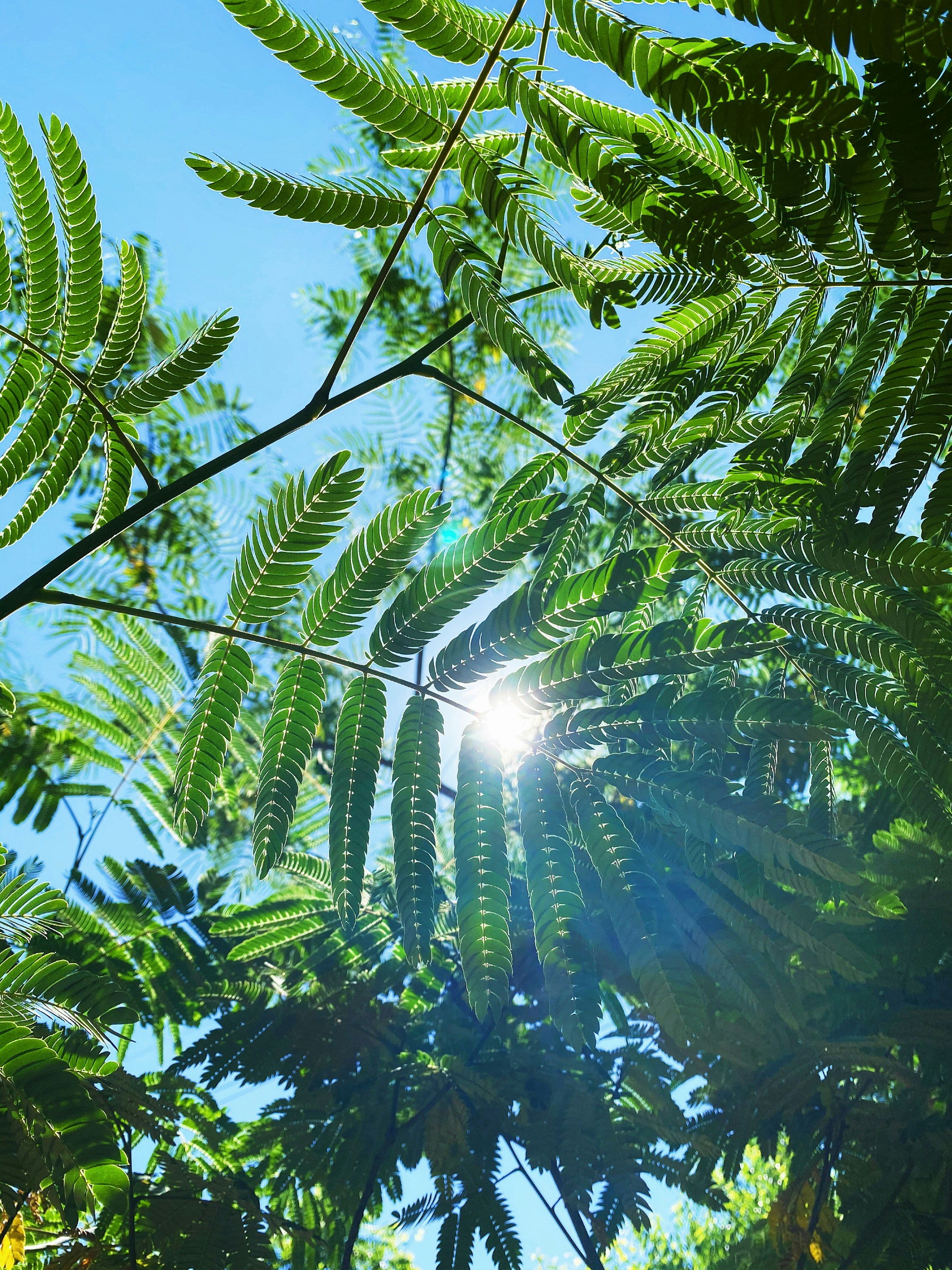 Photo by queenmissyevans