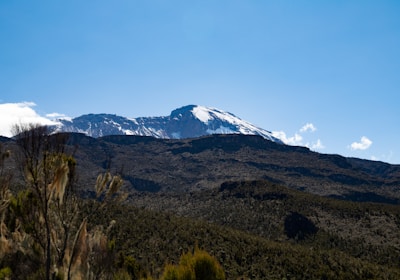 Tansania Safari Kilimanjaro Trekking Blick auf Gipfel