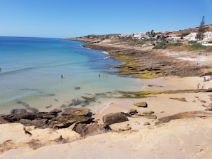 people on beach during daytime