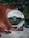 A hand holding a clear crystal ball that reflects an upside-down image of a neighborhood, including trees and brick buildings. The background is blurred, with greenery visible.