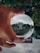 A hand holding a clear crystal ball that reflects an upside-down image of a neighborhood, including trees and brick buildings. The background is blurred, with greenery visible.