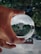 A hand holding a clear crystal ball that reflects an upside-down image of a neighborhood, including trees and brick buildings. The background is blurred, with greenery visible.