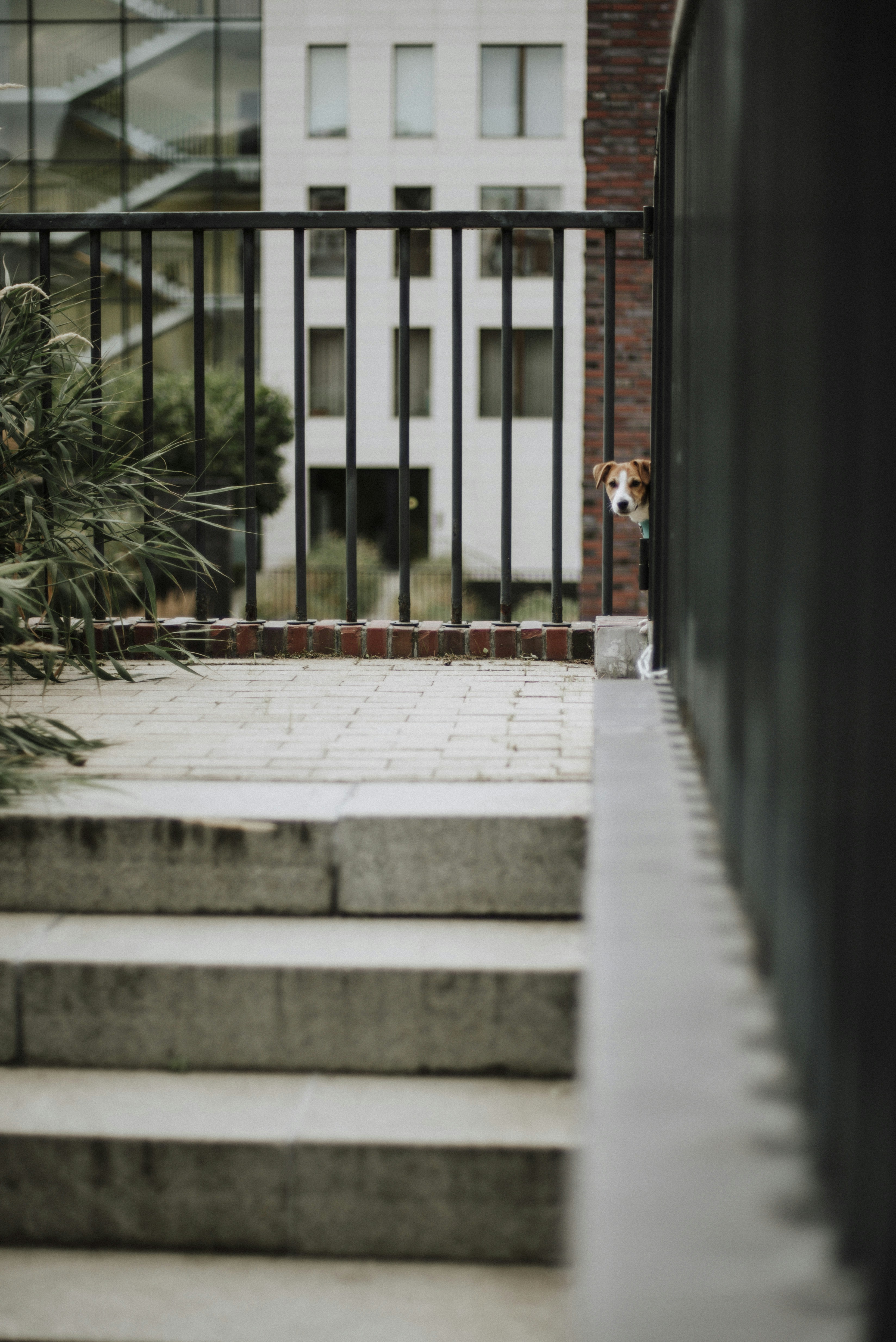 Photo by yuli_superson