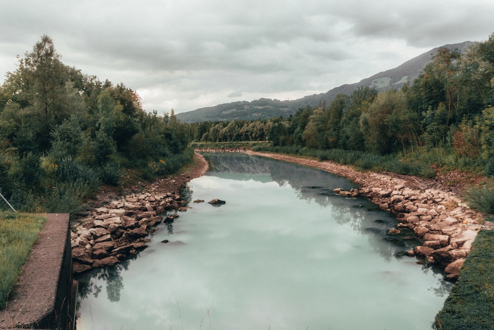 green trees near river under white clouds during daytime