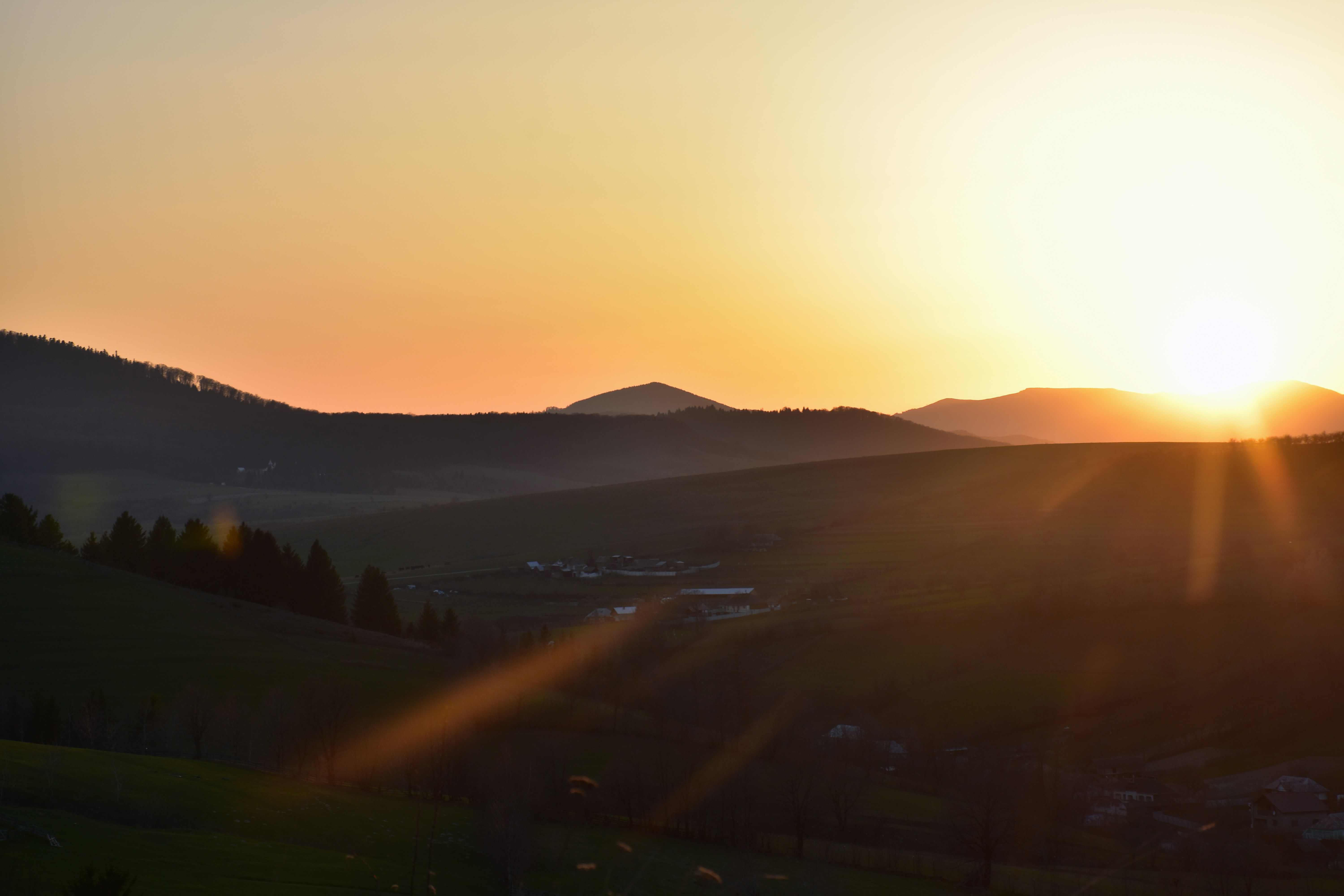 Photo by mirceadrian