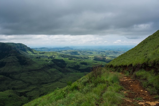 Expansive green land with rolling hills and a dirt path.